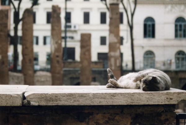 Click for original image